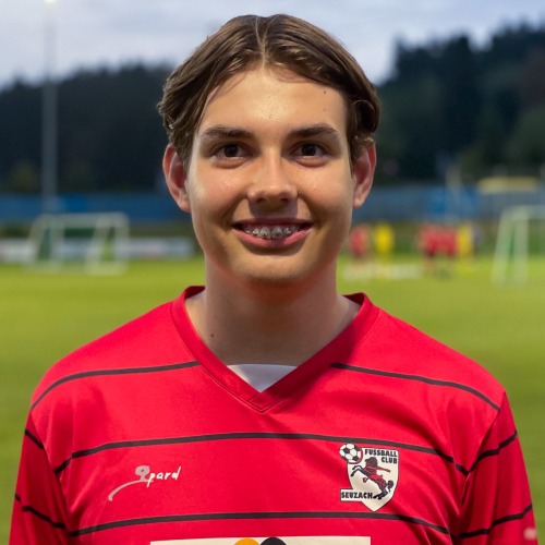 Dominik Bebi