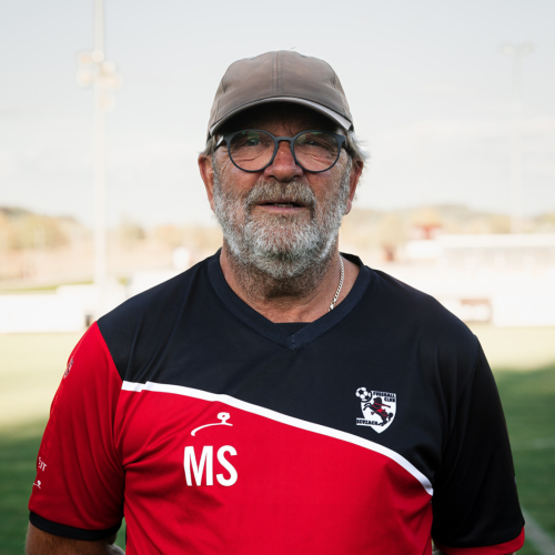 Martin Schmidli
