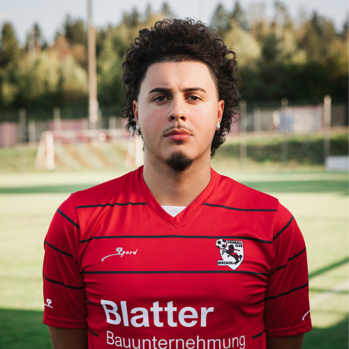 Diogo Pinto Peixoto