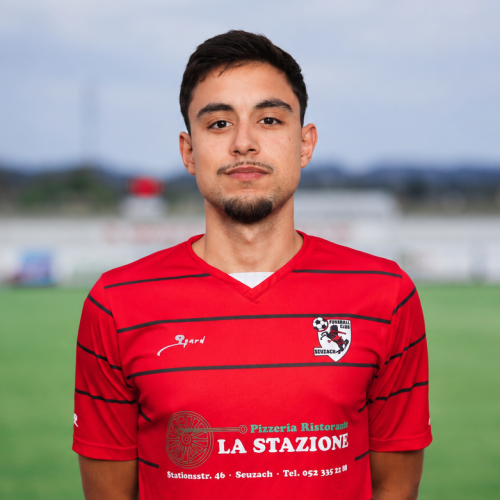 Paulo Carvalho Silva